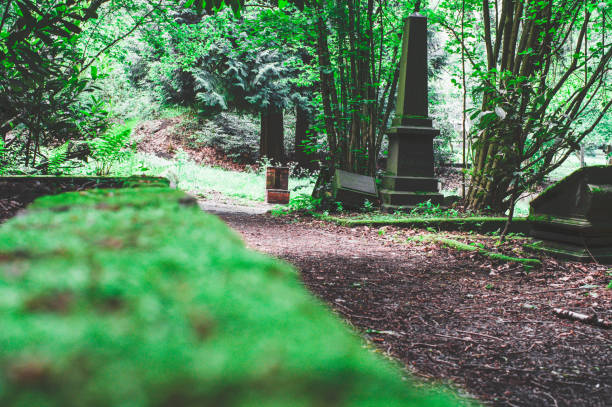 istock Kaputter gravestone with damage in a cemetery in green 1158779097