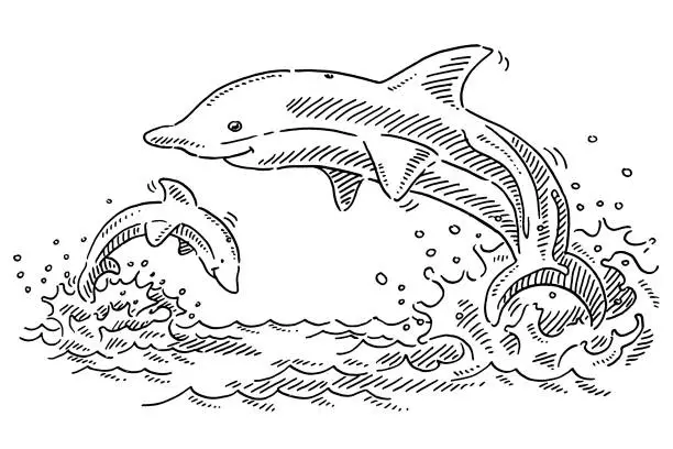 Vector illustration of Happy Dolphins In The Sea Drawing