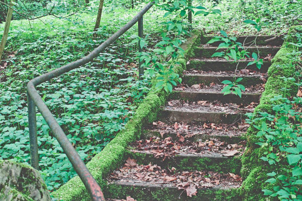 istock Stairs in a park have grown and broken 1158779253