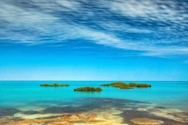 seascape na empresa broome - kimberley plain - fotografias e filmes do acervo