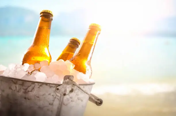 Photo of Three beer bottles in bucket full of ice cubes beach