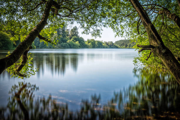 Tottiford lake, Dartmoor, Devon