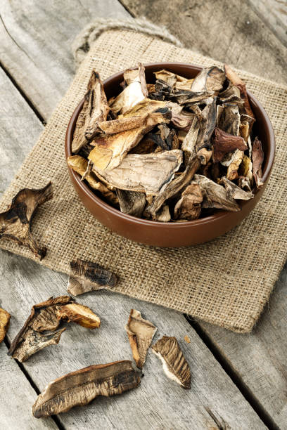 istock dried mushrooms in a clay plate 1158784223