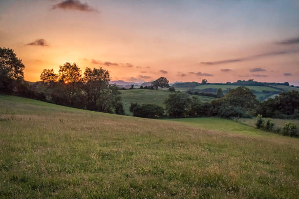 Farlacombe Pink Hour Sunset over the Moors from the hilltop near Bickington, Devon devon stock pictures, royalty-free photos & images