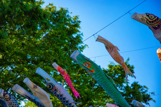 istock Carp streamer at the park in Tokyo daytime sunny 1158785940