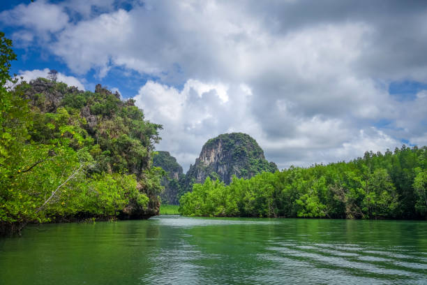 istock Mangrove and cliffs in Phang Nga Bay, Thailand 1158789103
