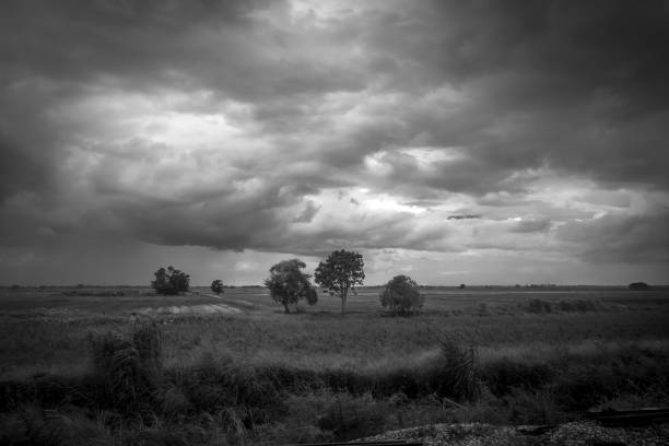 istock Field in the storm, Chiang Mai, Thailand 1158789789