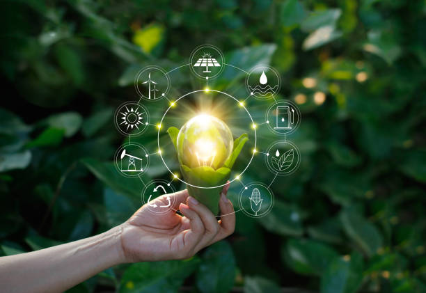 konsep ekologi. tangan memegang bola lampu terhadap alam pada daun hijau dengan ikon sumber energi untuk terbarukan, pembangunan berkelanjutan, menghemat energi. - environmental science potret stok, foto, & gambar bebas royalti