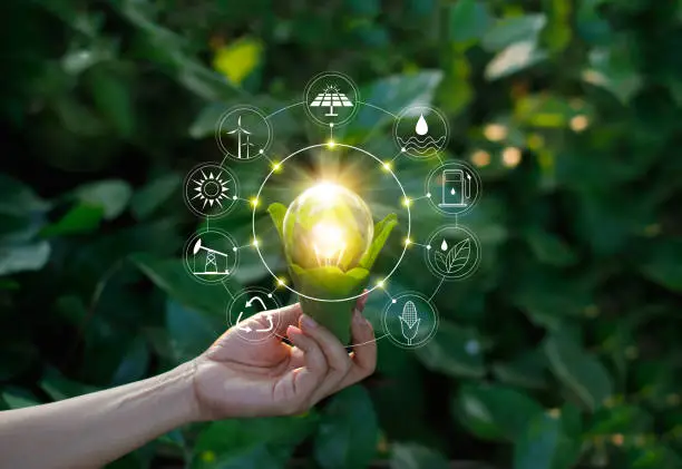 Photo of Ecology concept. Hand holding light bulb against nature on green leaf with icons energy sources for renewable, sustainable development, save energy.