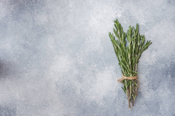 istock Branches of fresh rosemary on a gray concrete background. Copy space. 1158791212