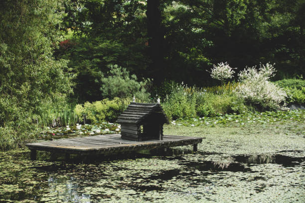 Duck house on a pond in a park