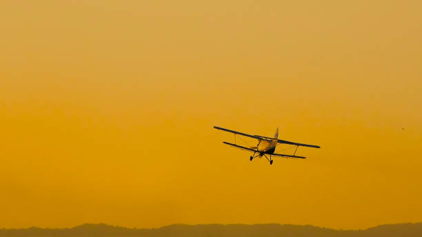 Agriculture, low flying yellow plane sprayed crops in the field
