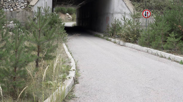 istock Narrow mountain road with tunnel passage, POV drive 1158794216
