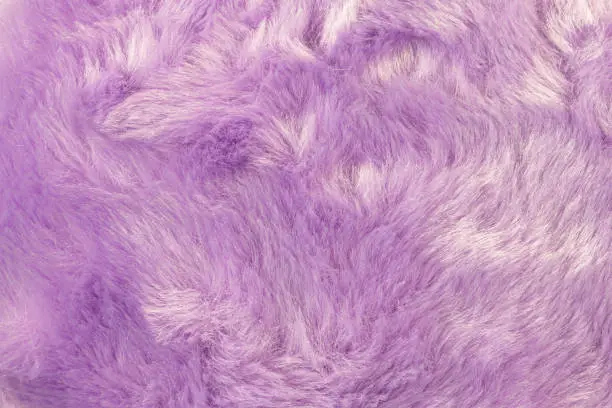 Photo of Texture of shaggy fur background. Detail of soft hairy skin material.