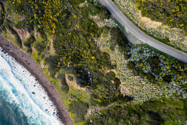 istock Seaside road curves near a rocky beach 1158796875