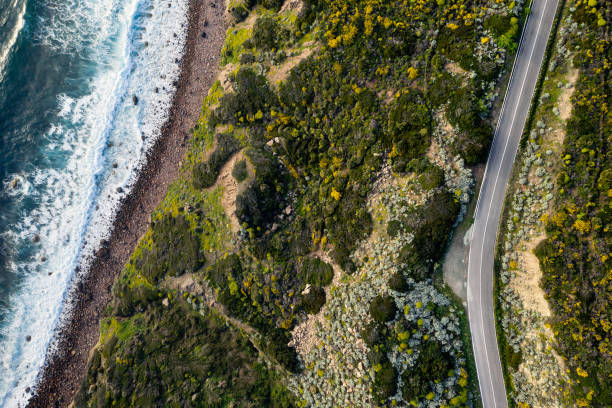 istock Coastal road curves near a rocky beach 1158796909