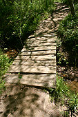 passage.jpg?b=1&s=170x170&k=20&c=wQrK70o