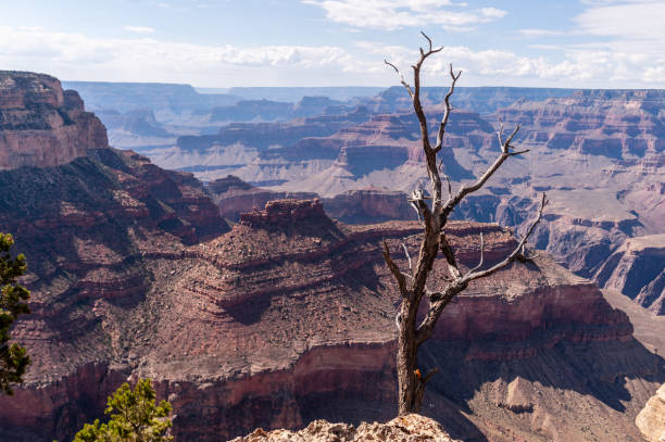 istock The Grand Canyon on a summer afternoon 1158799965