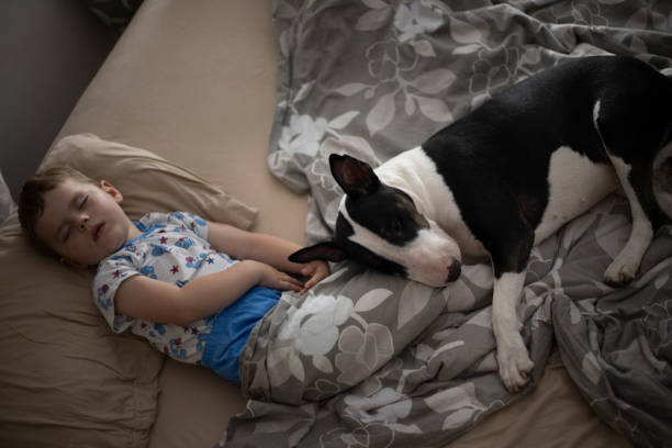 istock Best Friends - Sleeping Or Awake 1158800175