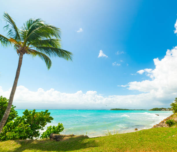 istock Blue sea in Bas du Fort beach in Guadeloupe 1158804856