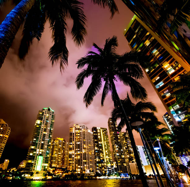 istock Palm trees and skyscrapers in Miami Riverwalk 1158804892