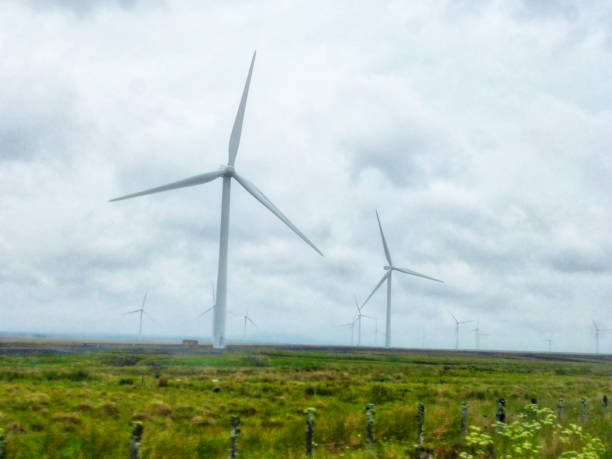 istock Wind Turbines (wind farm) Scotland 1158805009