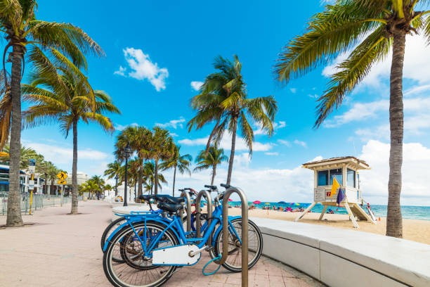 Bicycles parked on Fort Lauderdale seafront