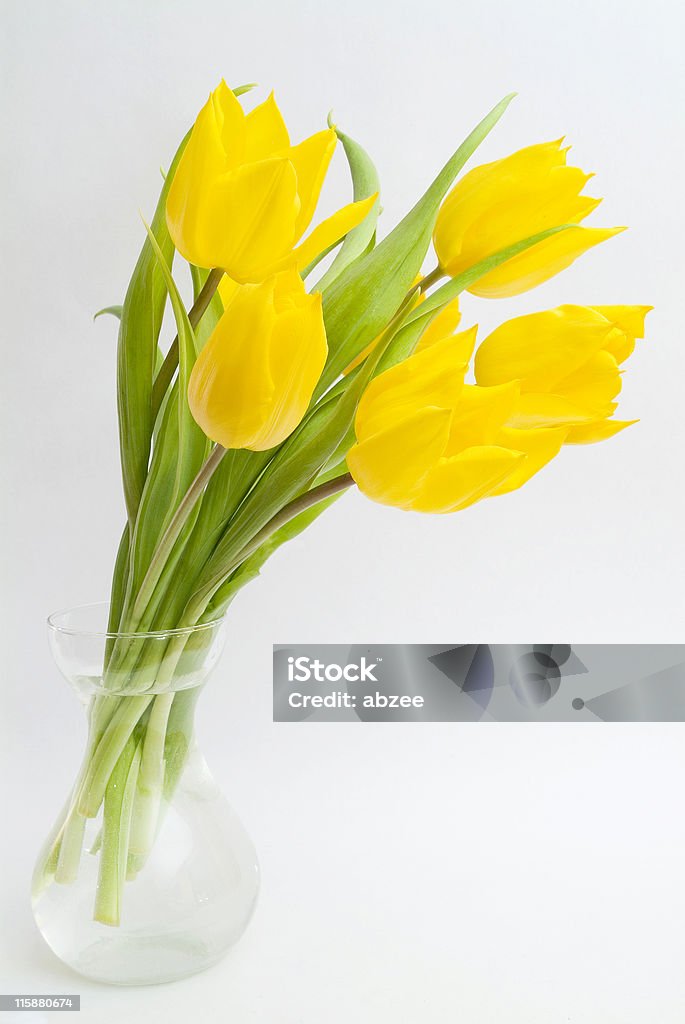 Fiori di primavera - Foto stock royalty-free di Aprile