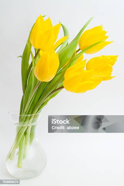 Fiori Di Primavera - Fotografie stock e altre immagini di Aprile - Aprile, Bouquet, Capolino