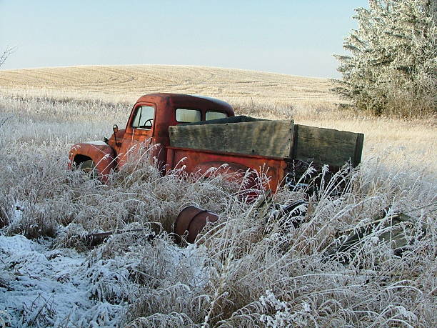 An abandoned, antique, four door, vintage sedan/saloon collector's car parked in a western New York state winter snow filled pasture field. The rusty and battered car appears abandoned - at least for the time being. Whomever might decide to try to restore it to true collector's car condition and value - with its missing or broken windows and front grille, and with very few pieces and parts which appear to fit or be properly attached - is going to need a bunch of money and a lot of time. There's also a dummy target shooting sports target buck deer with impressive plastic antlers to the right. And behind the back of the car - almost at the fence - is an artificial (I hope!) goose head. An odd collection of disparate items at this remote location, to be sure.