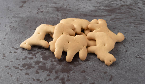 Animal crackers on a gray background side view