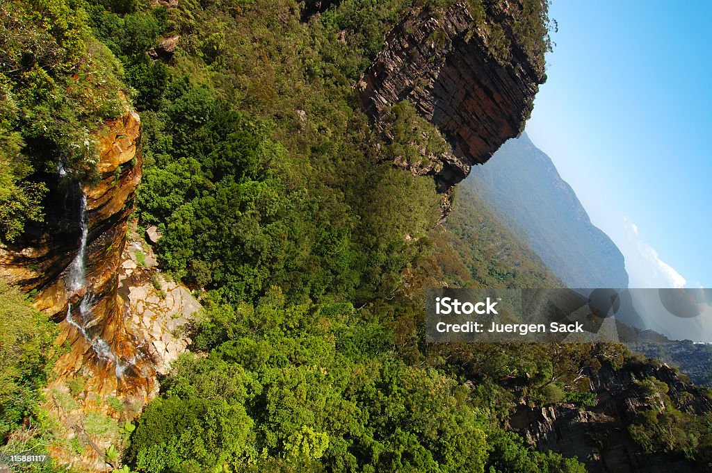 Gebirge Blue Mountains - Lizenzfrei Ast - Pflanzenbestandteil Stock-Foto