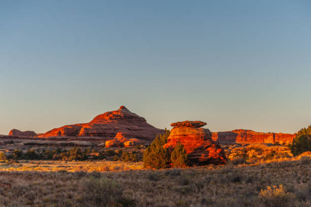 istock The Needles area of Canyonlands 1158813027
