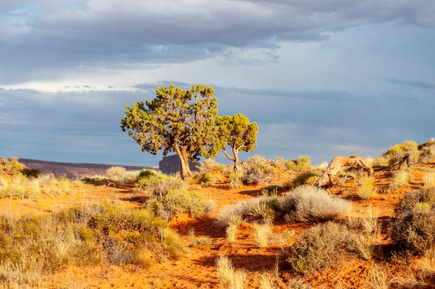 istock Classic western imagery at Monument Valley 1158813107