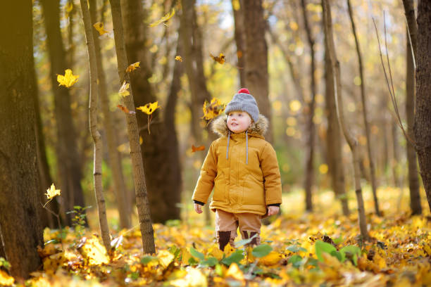 istock Little boy during stroll in the forest at cold sunny autumn day 1158814385