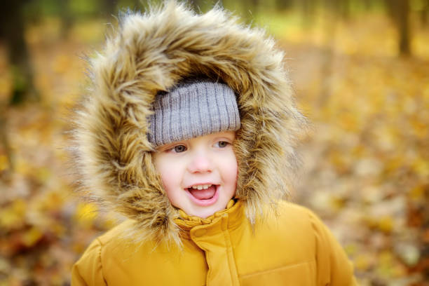 istock Little boy during stroll in the forest at cold sunny autumn day 1158815105