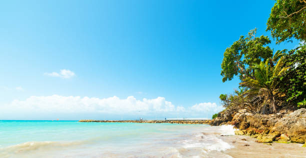 istock Turquoise water in La Datcha beach in Guadeloupe 1158815263