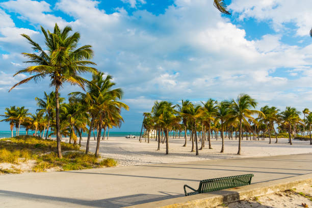 istock Sunset in Crandon park in Key Biscayne 1158815304