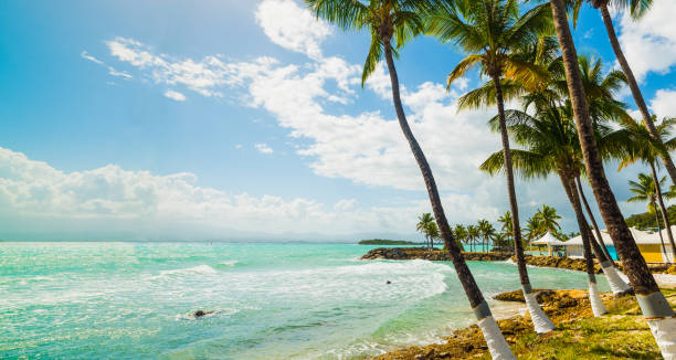 istock Paradise beach in Bas du Fort shore 1158816084