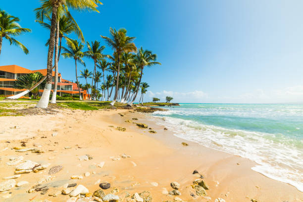 istock Rocks and sand in Bas du Fort beach in Guadeloupe 1158816473