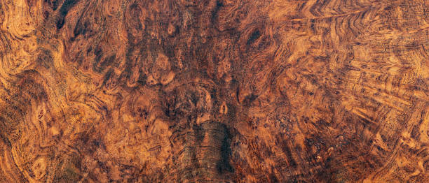자연 afzelia burl 나무 줄무늬, 공예 또는 추상 미술 질감 배경에 대 한 이국적인 나무 아름 다운 패턴 - attack craft 뉴스 사진 이미지