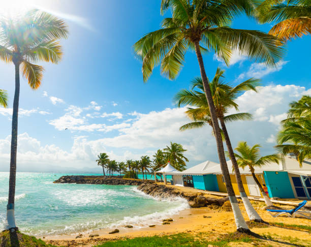 istock Colorful shore in Bas du Fort in Guadeloupe 1158818418
