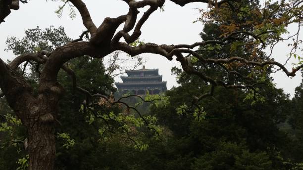 istock Hilltop Chinese Temple 1158818535