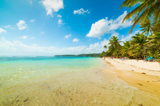 istock La Caravelle beach in Guadeloupe 1158818688