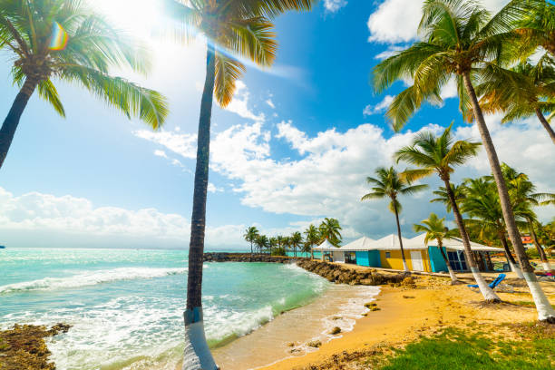 istock Sun shining over beautiful Bas du Fort beach in Guadeloupe 1158818772