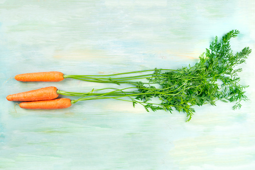 Vibrant organic orange carrots with green leafy tops, shot from above on a teal background with a place for text