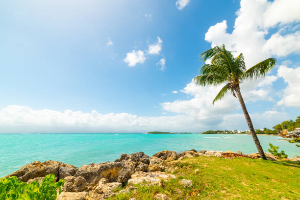 istock Beautiful shore in Bas du Fort in Guadeloupe 1158819965