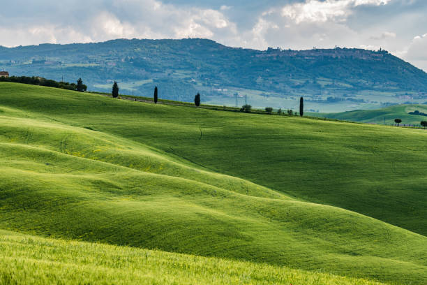 istock Sunny landscape from Val d'Orcia, Tuscany, Italy 1158820127