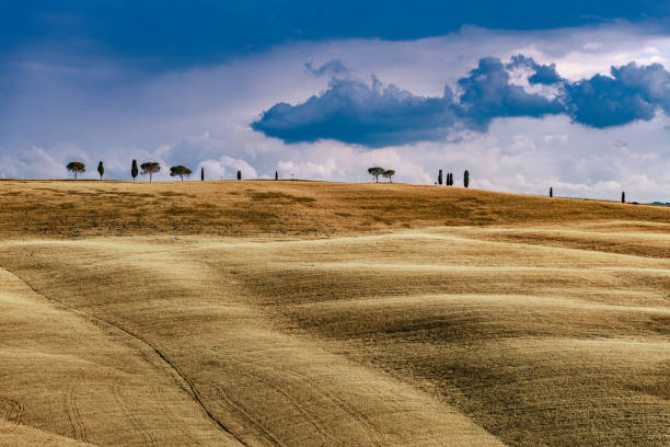 Sunny landscape from Val d'Orcia