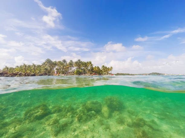 istock Split underwater view of La Caravelle beach in Guadeloupe 1158820948